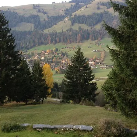 Chalet Chalet La Puce