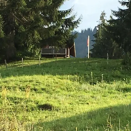 Chalet La Puce Chalet Rougemont