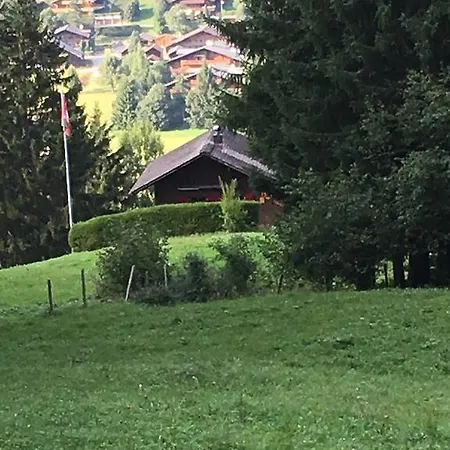 Chalet La Puce Chalet