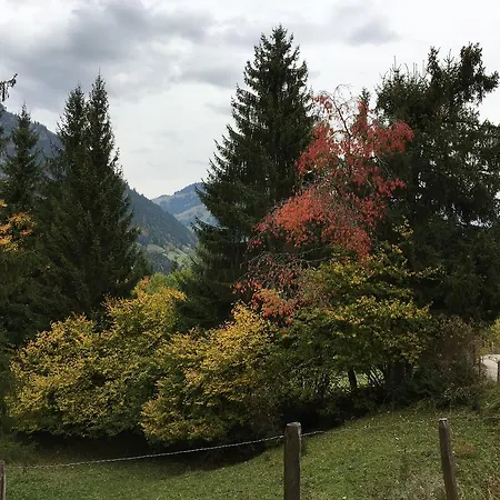 Chalet La Puce *
