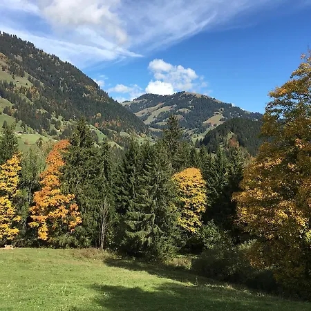 Chalet La Puce Chalet