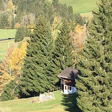 Chalet La Puce Rougemont