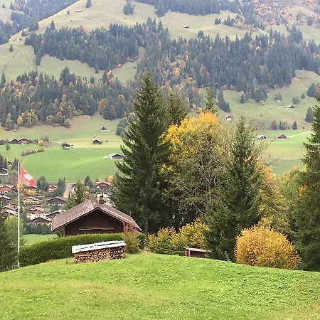 Chalet La Puce Chalé *