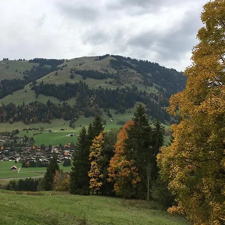 Chalet La Puce
