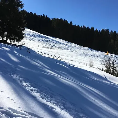 Chalet La Puce