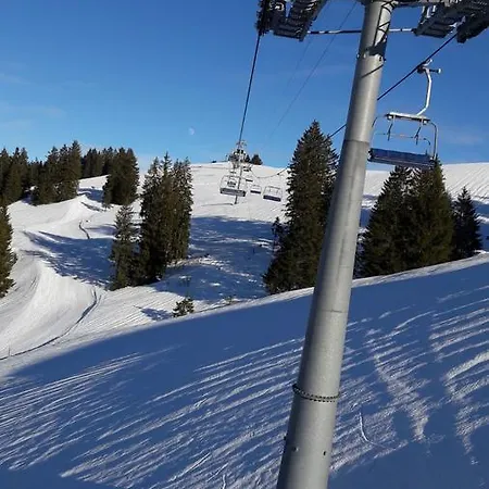 Chalet La Puce